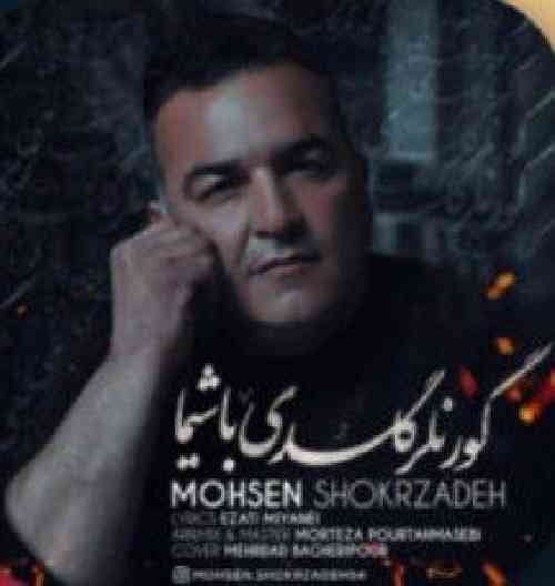 محسن شکرزاده گور نلر گلدی باشیما
